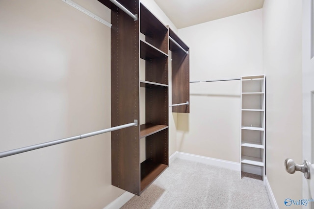 walk in closet featuring light carpet