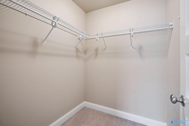 spacious closet with carpet