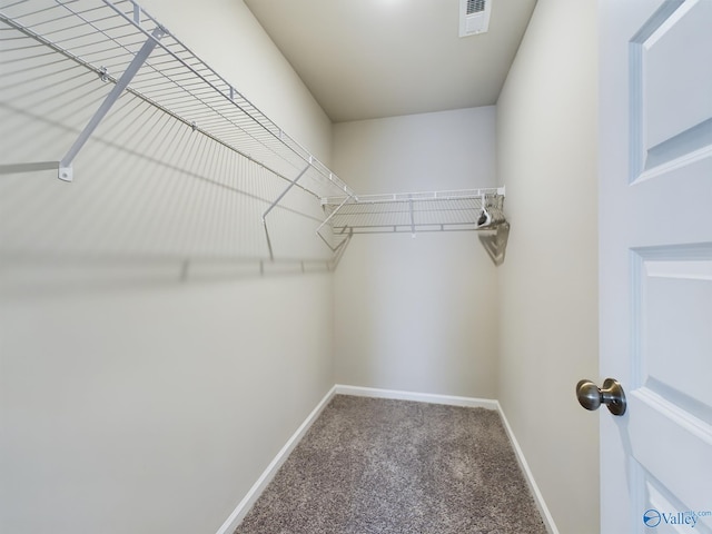 spacious closet featuring carpet