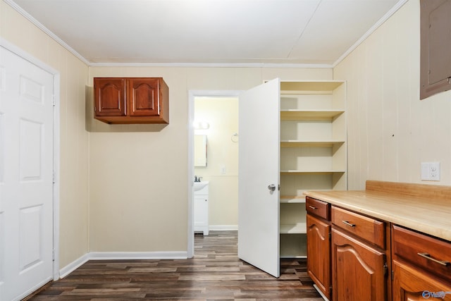 interior space with wood walls, crown molding, and dark hardwood / wood-style flooring