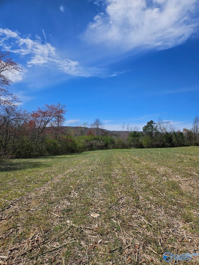 13.5ACRES County Road 687, Henagar AL, 35978 land for sale