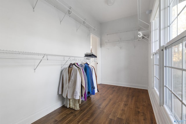 1033 Edgewood Cir, Arab, AL 35016 - walk in closet featuring wood-type flooring