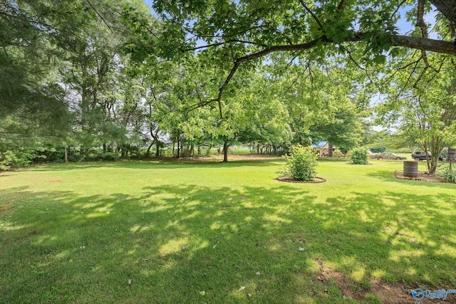 114 Butch Cir, Hazel Green, AL 35750 - view of green lawn featuring view of wooded area