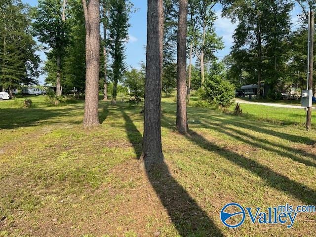 177 County Road 1043 Unit 13, Centre, AL 35960