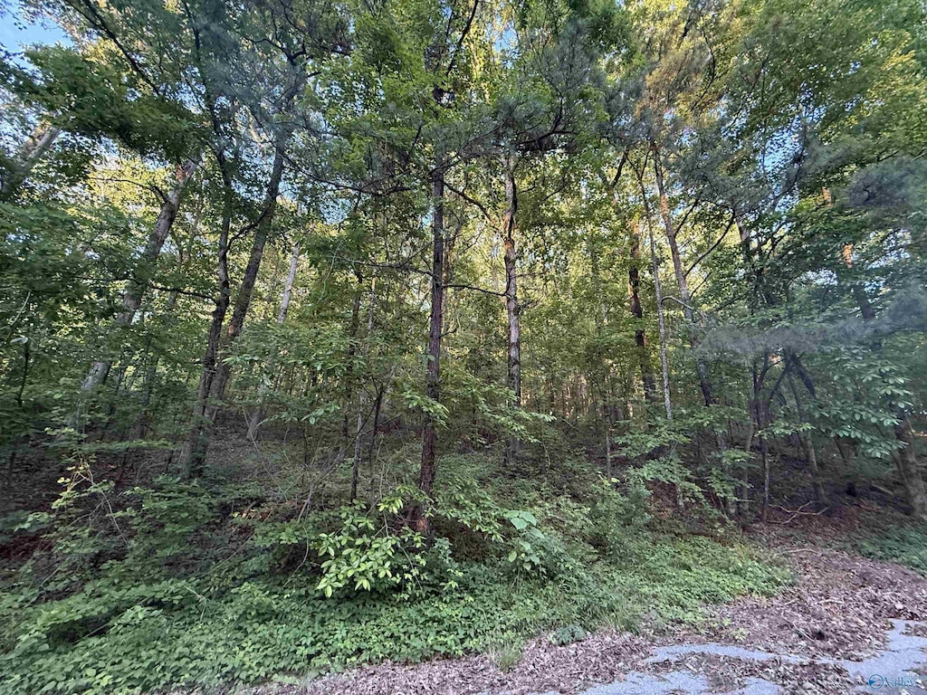 174 Greenbriar Rd, Gadsden, AL 35901