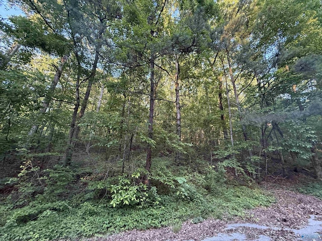 174 Greenbriar Rd, Gadsden, AL 35901