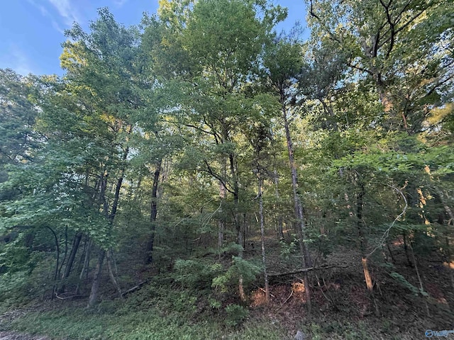 174 Greenbriar Rd, Gadsden, AL 35901