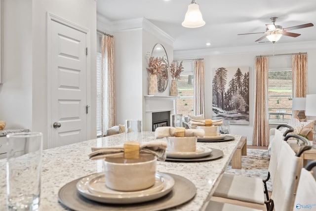 interior space featuring ornamental molding, a healthy amount of sunlight, and ceiling fan