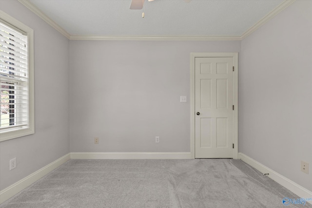 empty room featuring carpet, ornamental molding, and plenty of natural light