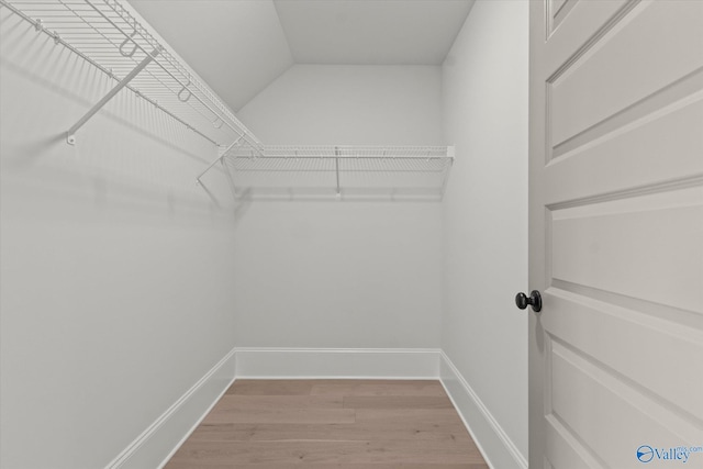 spacious closet with hardwood / wood-style flooring