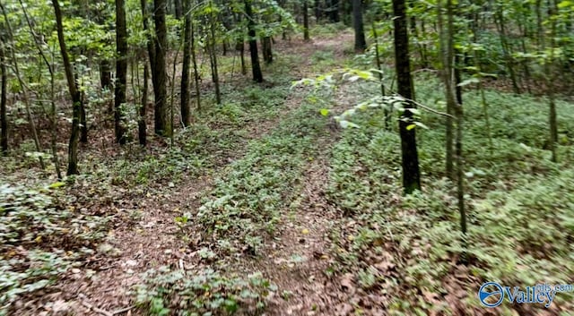 5200 Al Highway 273, Cedar Bluff, AL 35959