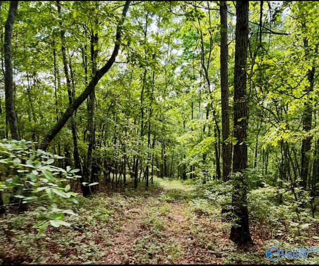 5200 Al Highway 273, Cedar Bluff, AL 35959