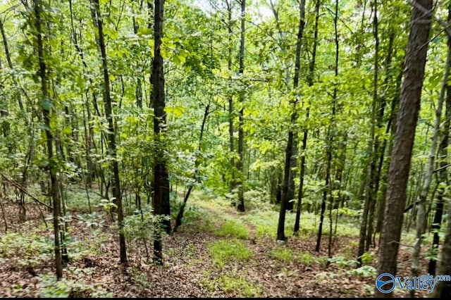 5200 Al Highway 273, Cedar Bluff, AL 35959