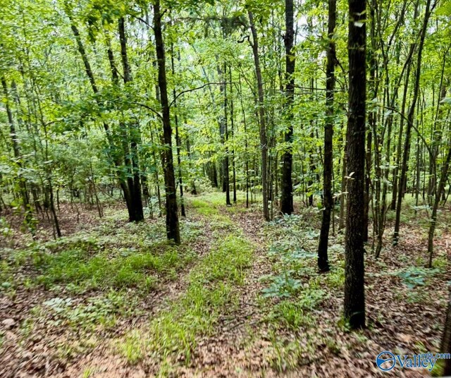 5200 Al Highway 273, Cedar Bluff, AL 35959