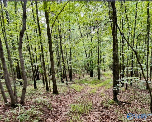 5200 Al Highway 273, Cedar Bluff, AL 35959