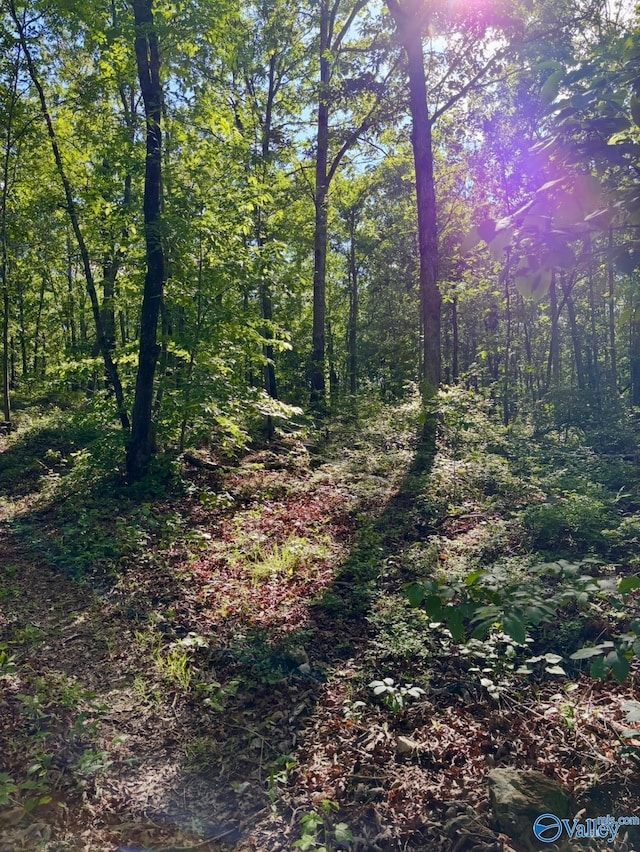5200 Al Highway 273, Cedar Bluff, AL 35959
