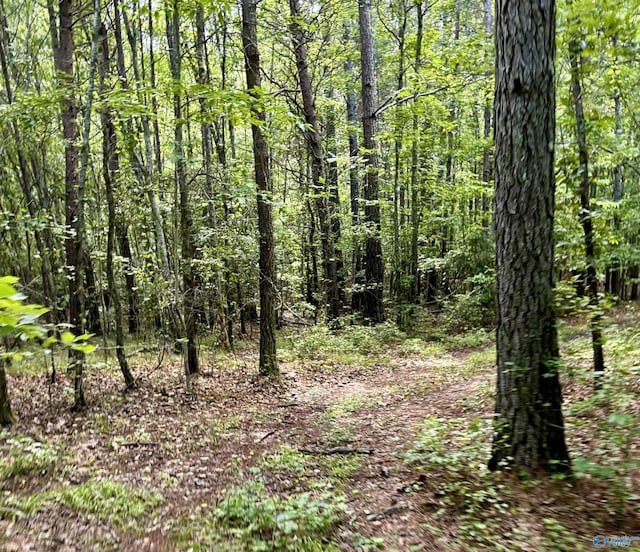 5200 Al Highway 273, Cedar Bluff, AL 35959