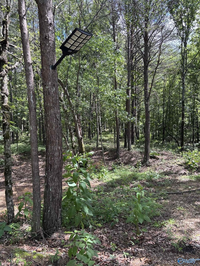 5200 Al Highway 273, Cedar Bluff, AL 35959