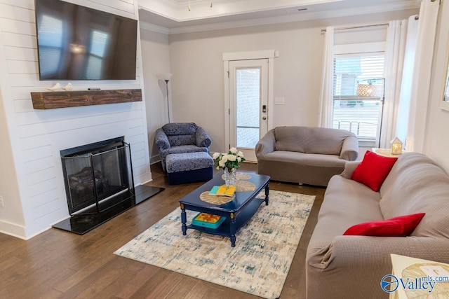 living room with a fireplace, crown molding, and dark wood-type flooring