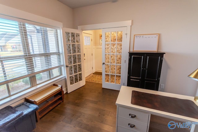 office featuring dark hardwood / wood-style flooring and a healthy amount of sunlight