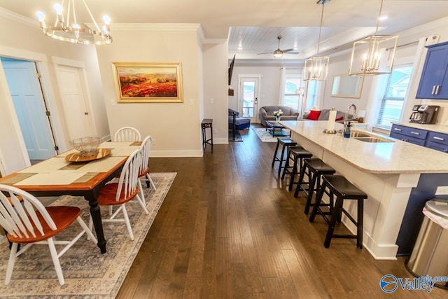 kitchen featuring dark hardwood / wood-style flooring, a wealth of natural light, sink, and decorative light fixtures