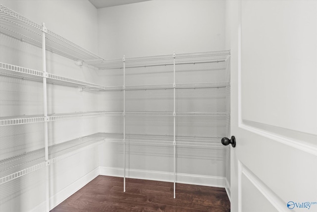 walk in closet with dark hardwood / wood-style flooring