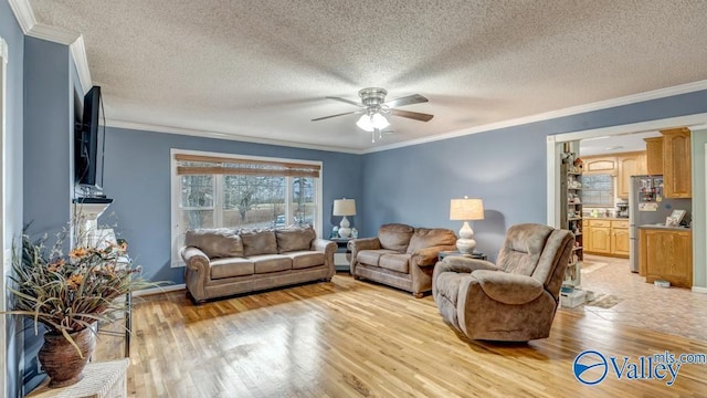 living room with ornamental molding, a textured ceiling, ceiling fan, and light hardwood / wood-style flooring