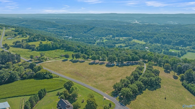 aerial view featuring a rural view