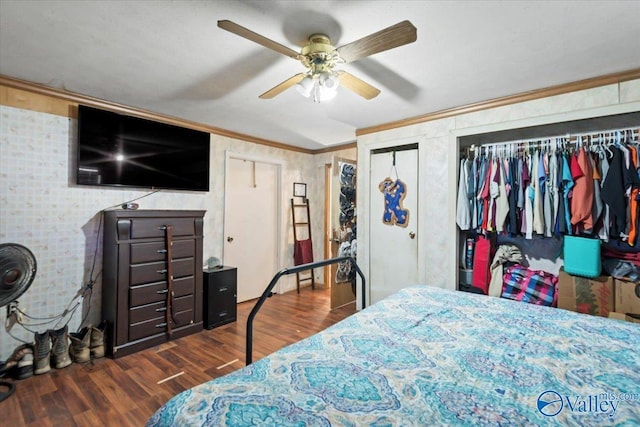 bedroom featuring ceiling fan, ornamental molding, dark wood-type flooring, and multiple closets