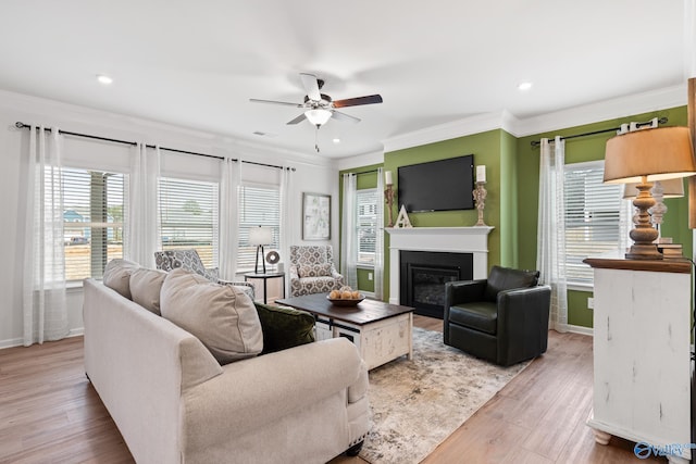 living room with ceiling fan, ornamental molding, plenty of natural light, and light hardwood / wood-style flooring