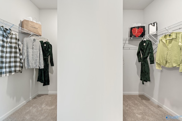 spacious closet featuring light colored carpet