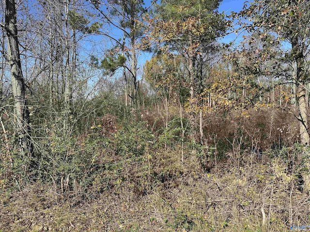 Listing photo 3 for 5.4ACRES Nuclear Plant Rd, Tanner AL 35671