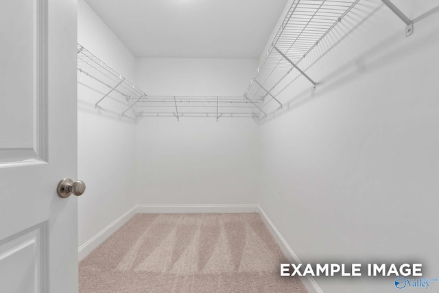 spacious closet with carpet