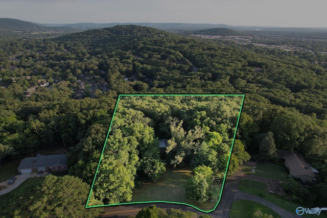 10101 Westleigh Dr, Huntsville, AL 35803 - aerial view of property's location featuring property parcel outlined