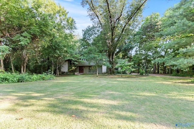 10101 Westleigh Dr, Huntsville, AL 35803 - view of grassy yard