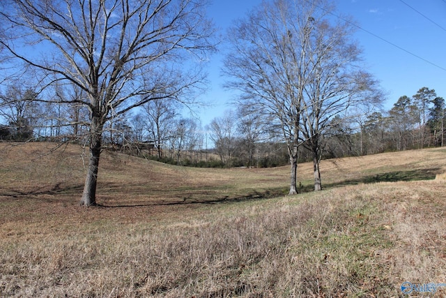 6.3ACRES Duck Springs Rd, Attalla AL, 35954 land for sale