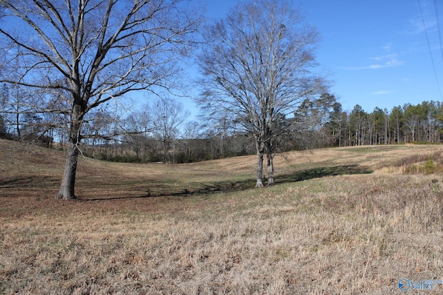 Listing photo 2 for 6.3ACRES Duck Springs Rd, Attalla AL 35954