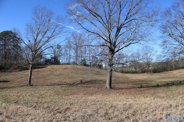 Listing photo 3 for 6.3ACRES Duck Springs Rd, Attalla AL 35954