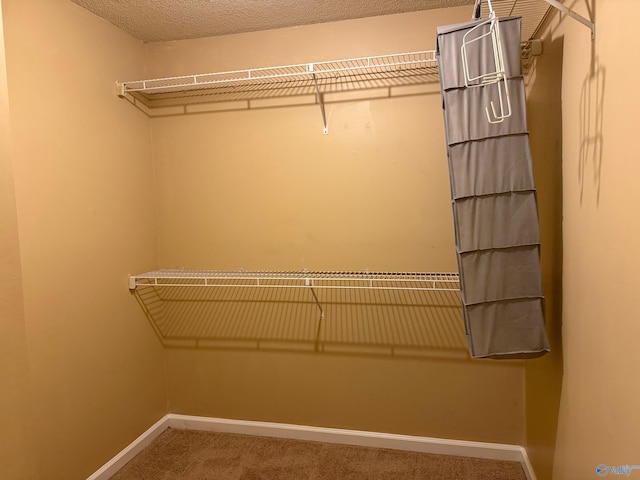 5070 Seven Pine Cir Ground, Unit Ground, Huntsville, AL 35816 - walk in closet featuring carpet