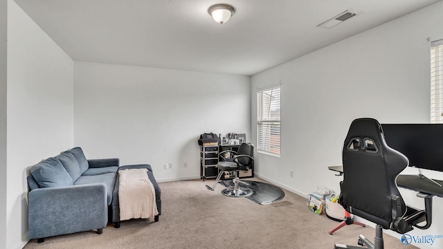 28119 Chasebrook Dr, Harvest, AL 35749 - home office with carpet and baseboards