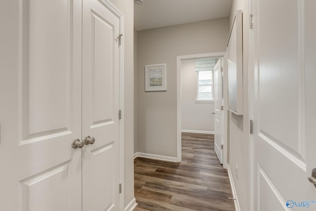 corridor with dark hardwood / wood-style flooring