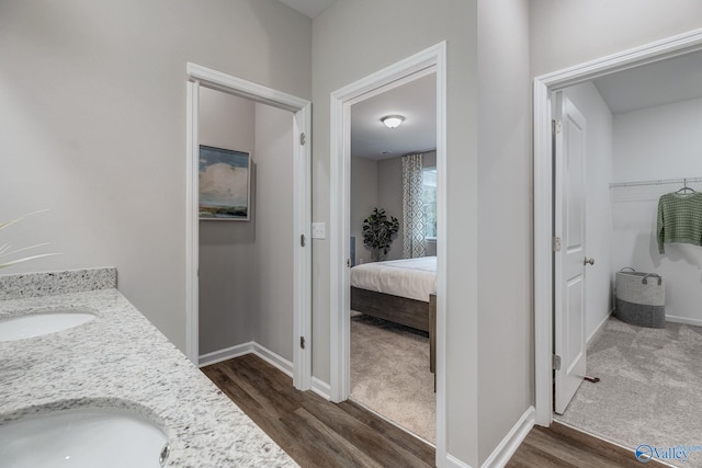 bathroom with hardwood / wood-style floors and vanity