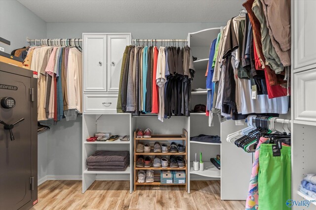 102 Bay Pointe Ln, Madison, AL 35758 - walk in closet with light wood-style floors