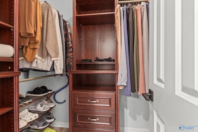 walk in closet with hardwood / wood-style floors