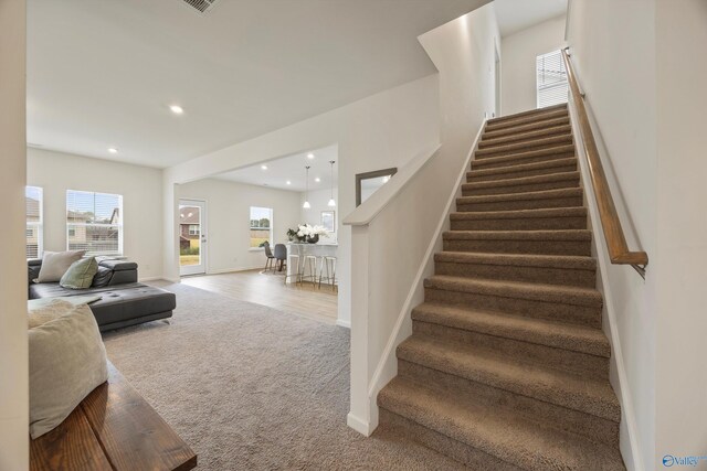 stairway featuring carpet floors