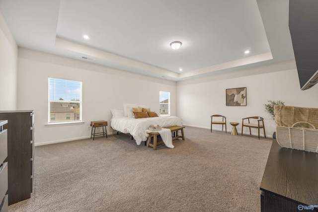 bedroom with carpet and a raised ceiling