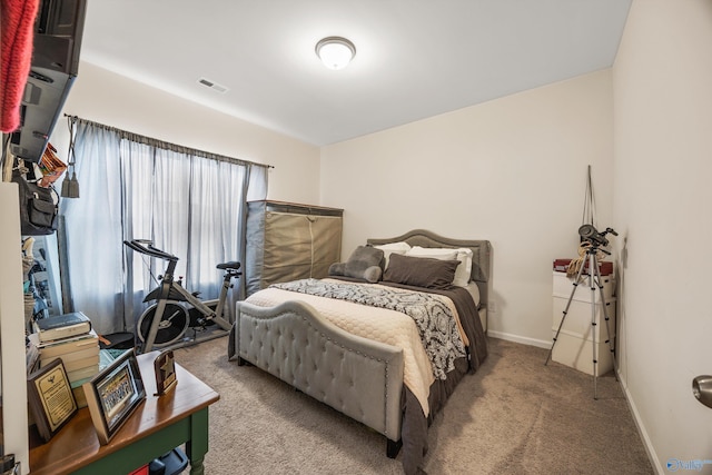 bedroom with carpet floors