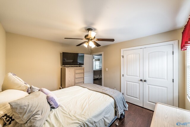1117 Pegasus Dr NW, Huntsville, AL 35806 - bedroom with dark wood-style flooring, a closet, and ceiling fan