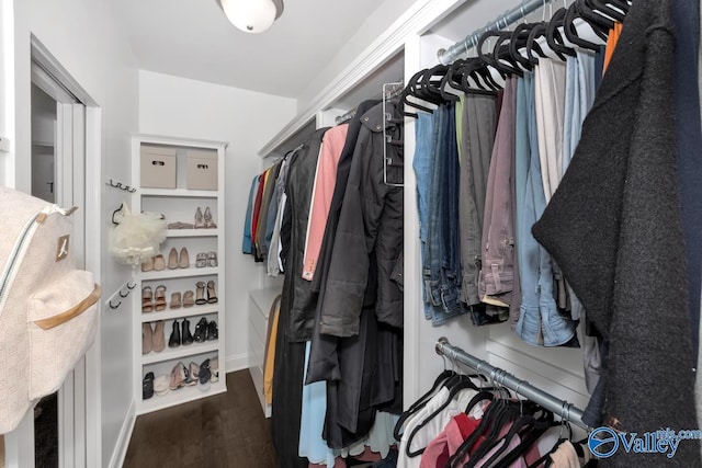 walk in closet featuring dark hardwood / wood-style floors