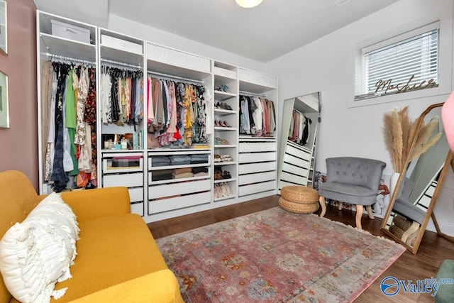 walk in closet with dark hardwood / wood-style floors